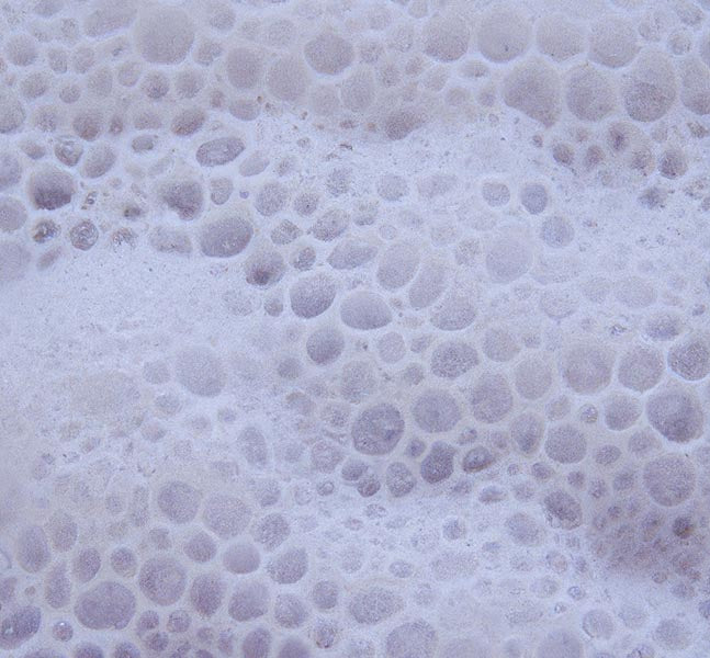 Sulfates in Spotlight: Understanding Their Use and Potential Impact on Health