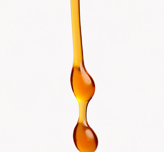 A Guide to Sap and Resin Ingredients for Herbalists and Apothecaries