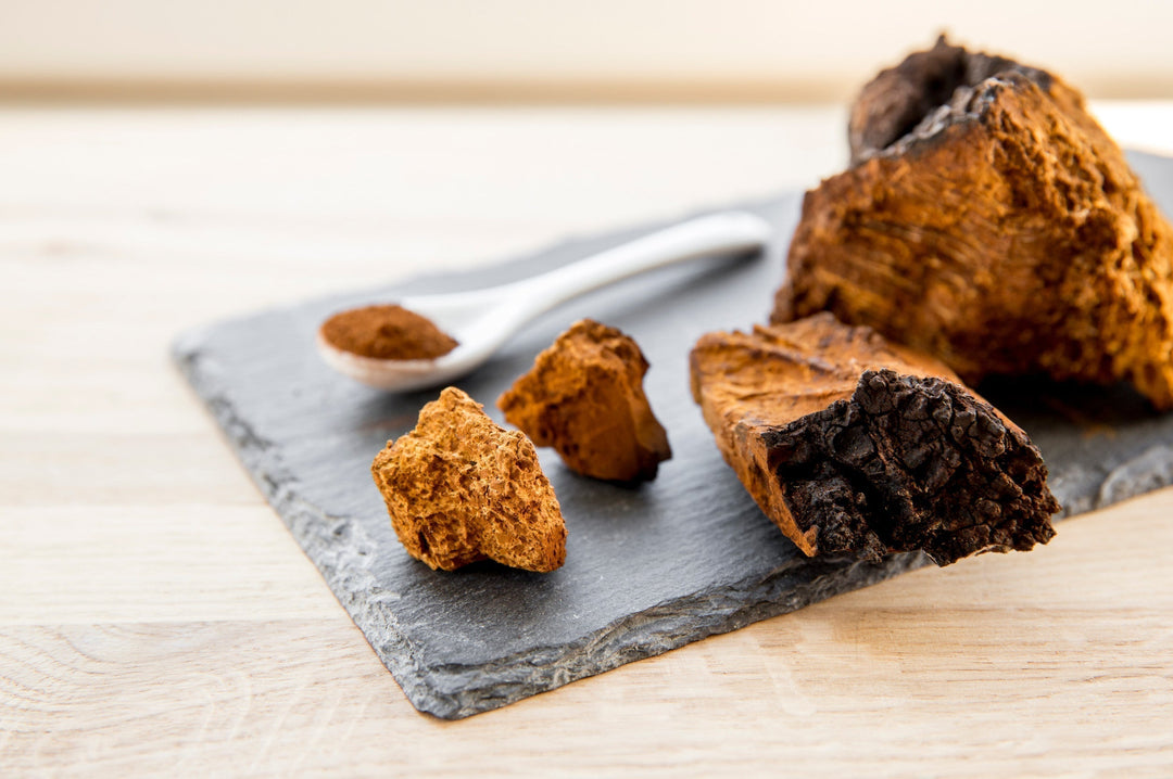 Homemade Chaga Mushroom Tincture Recipe using Food Grade Ethanol