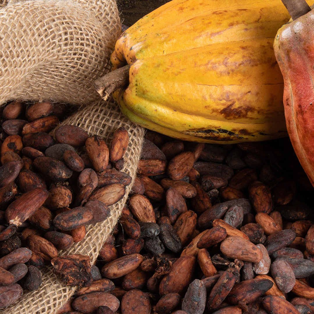 Homemade Cacao Tincture and Extract Recipe using Food Grade Ethanol