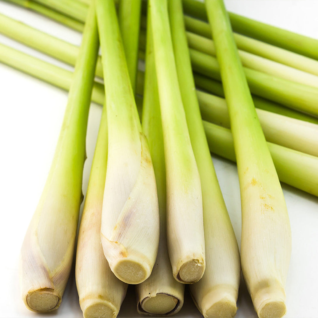 Homemade Lemongrass Tincture and Extract Recipe using Food Grade Ethanol