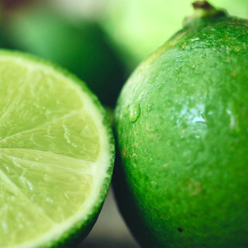 Homemade Key Lime Extraction Recipe using 200 Proof Food Grade Ethanol