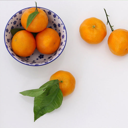 Homemade Mandarin Orange Extraction Recipe using 200 Proof Food Grade Ethanol