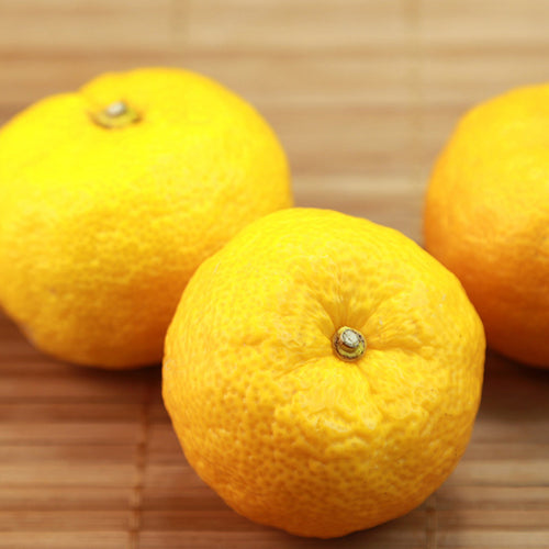 Homemade Yuzu Extract Recipe using 200 Proof Food Grade Ethanol