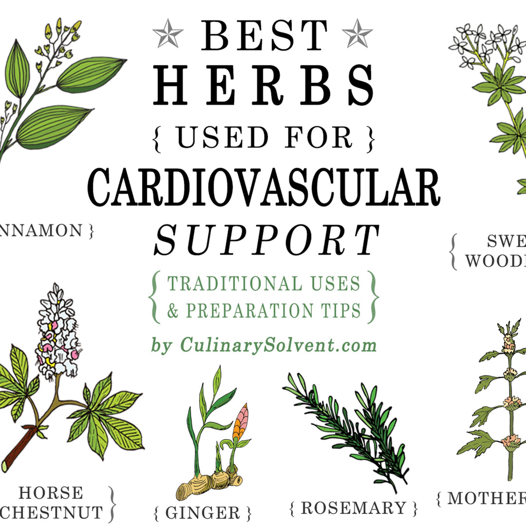 Top 11 Herbal Ingredients That Support Circulatory and Cardiovascular Health