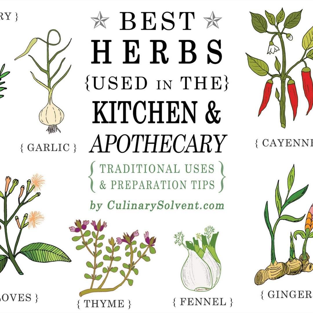 From Kitchen to Apothecary, Top 14 Herbs & Spices with Both Culinary and Traditional Herbology Uses