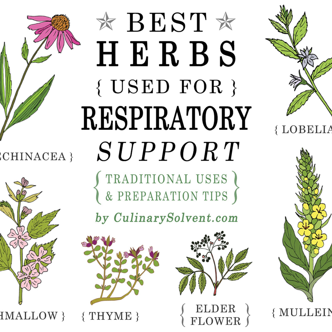 Top 14 Herbal Ingredients to Support Respiratory Health
