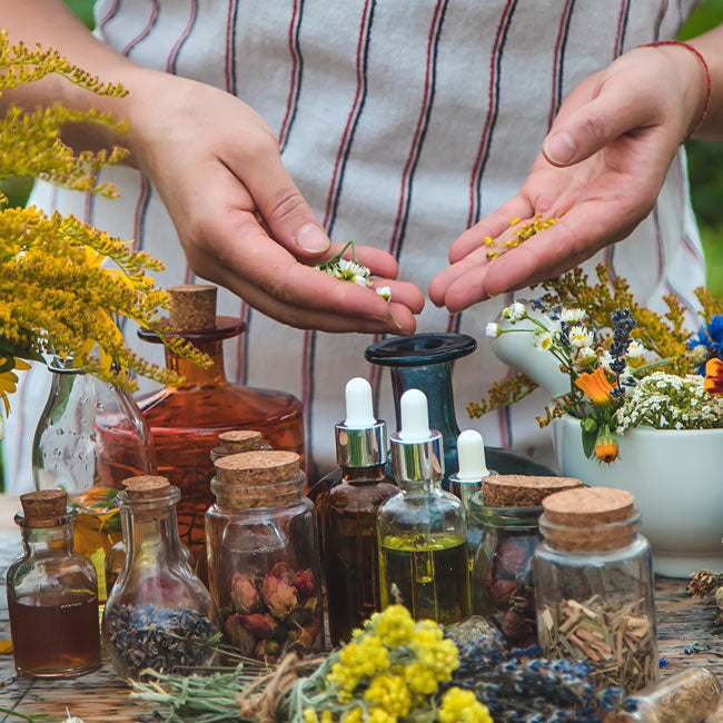 Herbal Tincture and Extraction Terms and Methodologies