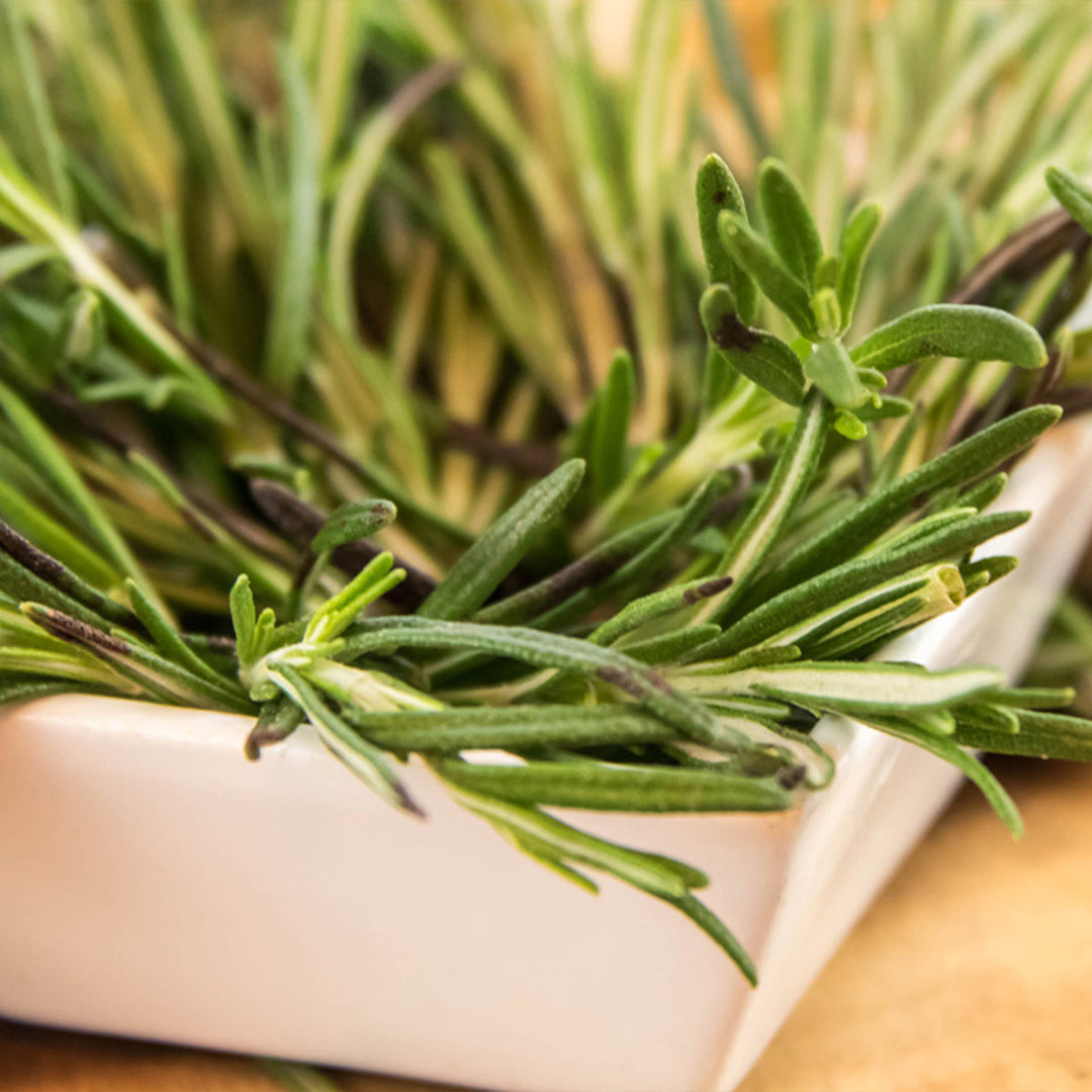 Homemade Rosemary Tincture and Extract Recipe using Food Grade Ethanol