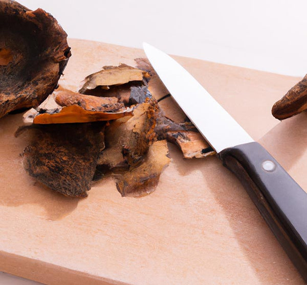 The Health Benefits of Chaga Mushroom and a Guide to Making Your Own Extract