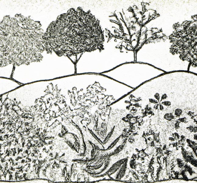 Tree Printmaking Examples Revolutionize Your Printmaking: How 200 Proof Food Grade Ethanol ...