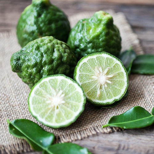 Homemade Kaffir Lime Extraction Recipe using 200 Proof Food Grade Ethanol