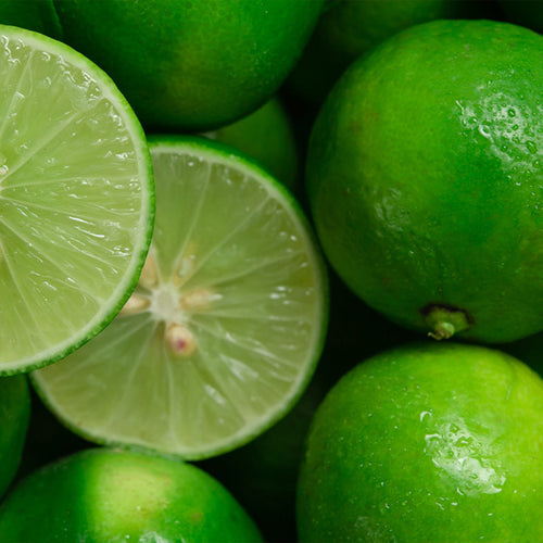 Homemade Lime Extract Recipe using 200 Proof Food Grade Ethanol