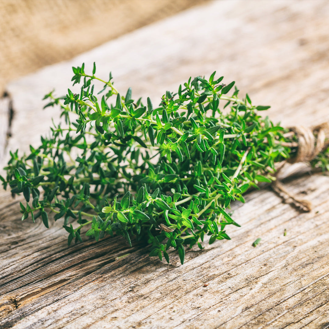 Homemade Thyme Tincture and Extract Recipe using Food Grade Ethanol