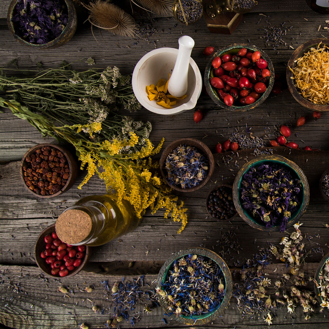 Exploring the Pantry of an Apothecary: Ingredient Categories and Tips for Extended Storage