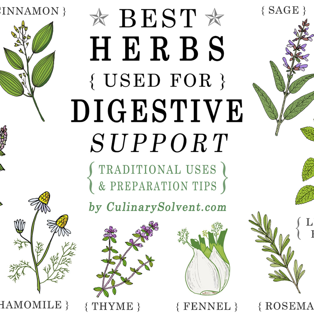Top 25 Herbal Ingredients That Support Digestive Health