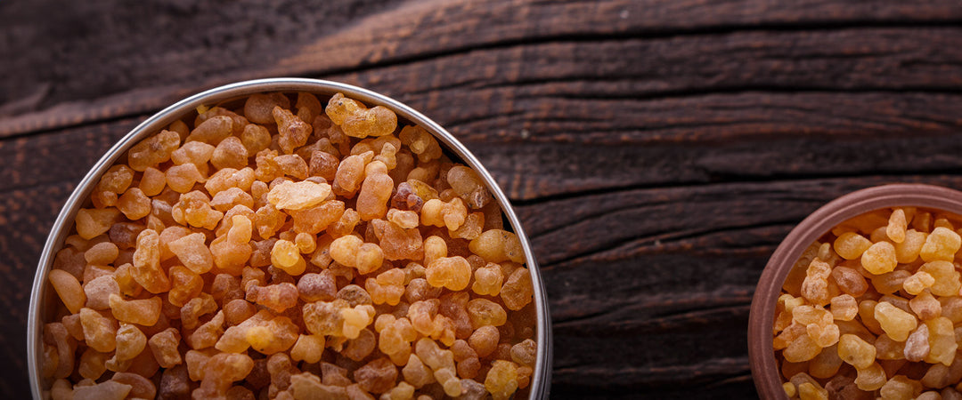 Guide to Sap, Gum, and Resin Tinctures and Extracts using 200 Proof Food Grade Ethanol