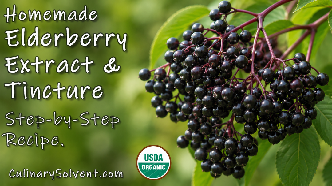 Homemade Elderberry Extract Recipe Using Food Grade Ethanol