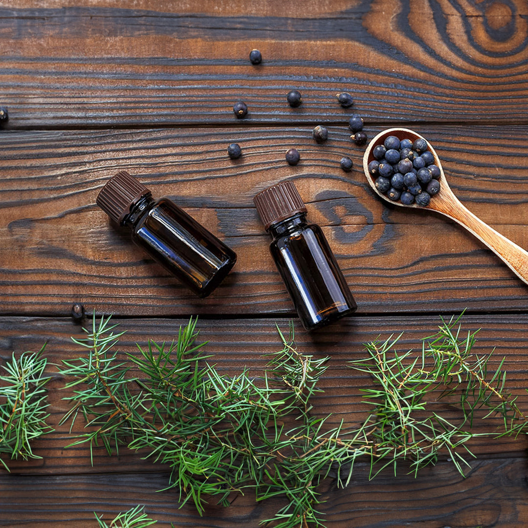 Homemade Juniper Tincture and Extract Recipe