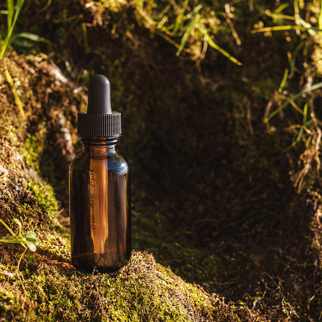 Homemade Organic Willow Bark Tincture and Extract Recipe